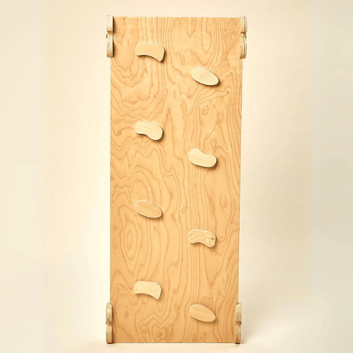 Pikler Wooden Rockwall & Slide Ramp