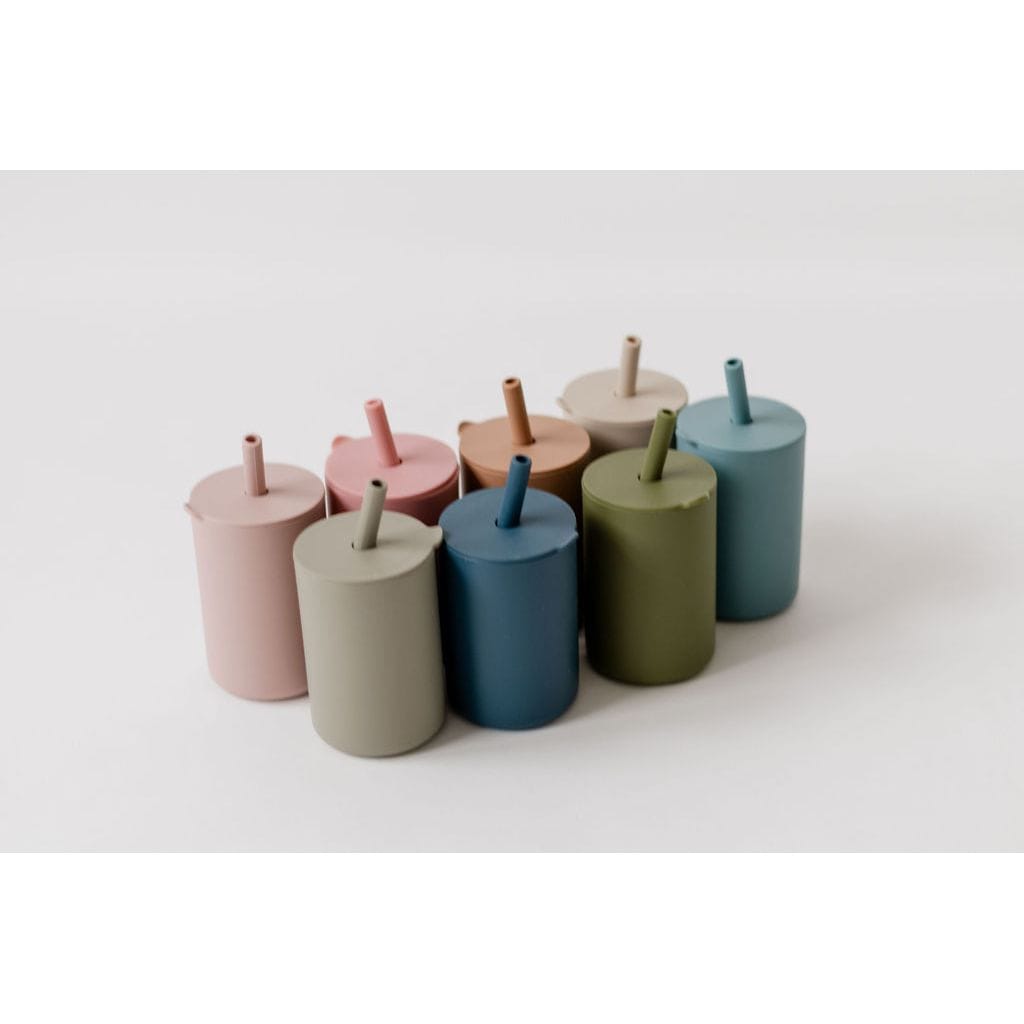 ShopMyLittleSongbird toddler cup with straw and bowl, featuring colorful design and child-friendly features for easy drinking.